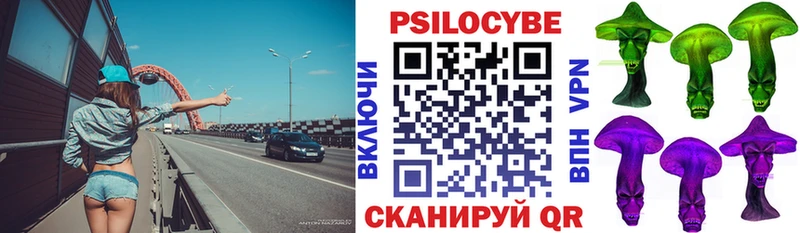Купить закладки  Касимов  Галлюциногенные грибы мицелий 